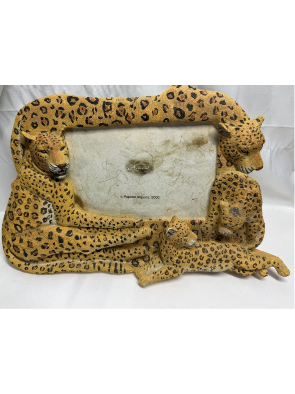 Picture Frame Vintage Popular Imports 2000 Feline Collection 3D Cheetah Read